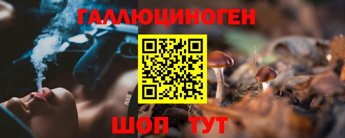 Галлюциногенные грибы мицелий  купить  сайты  Псилоцибиновые грибы Psilocybe  Киржач  Вход с VPN 
